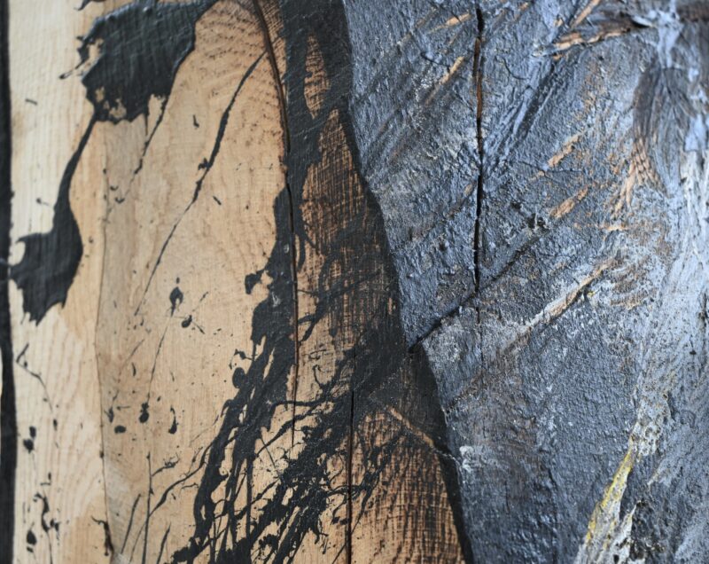 Territorial Disobedience, 2026, Detail